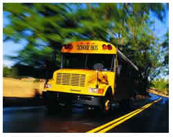 School Bus